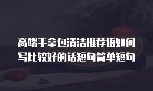 高端手拿包清洁推荐语如何写比较好的话短句简单短句