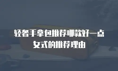 轻奢手拿包推荐哪款好一点女式的推荐理由