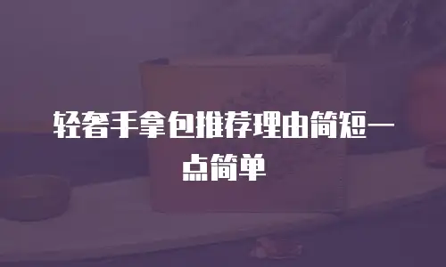 轻奢手拿包推荐理由简短一点简单