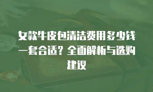 女款牛皮包清洁费用多少钱一套合适？全面解析与选购建议