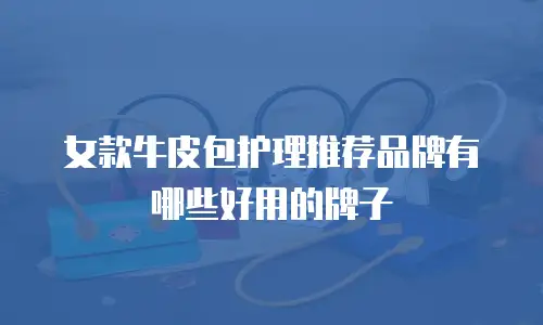 女款牛皮包护理推荐品牌有哪些好用的牌子