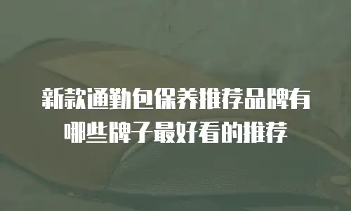 新款通勤包保养推荐品牌有哪些牌子最好看的推荐