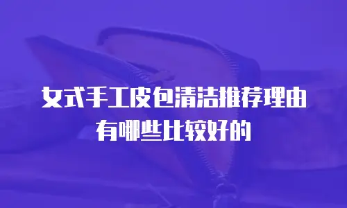 女式手工皮包清洁推荐理由有哪些比较好的