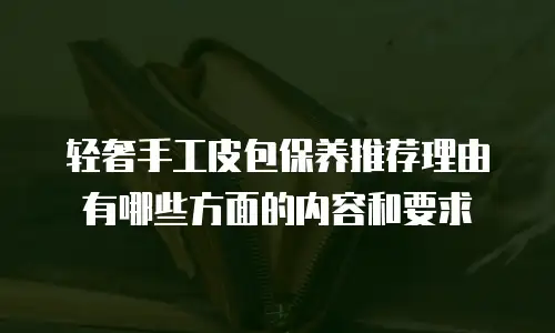 轻奢手工皮包保养推荐理由有哪些方面的内容和要求