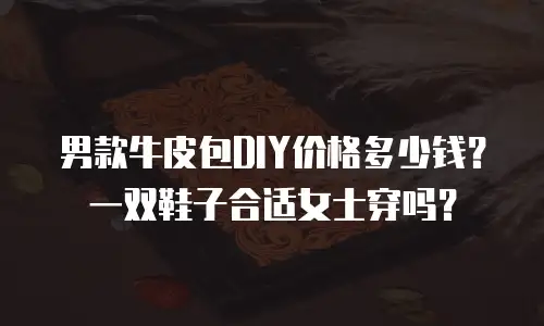 男款牛皮包DIY价格多少钱？一双鞋子合适女士穿吗？