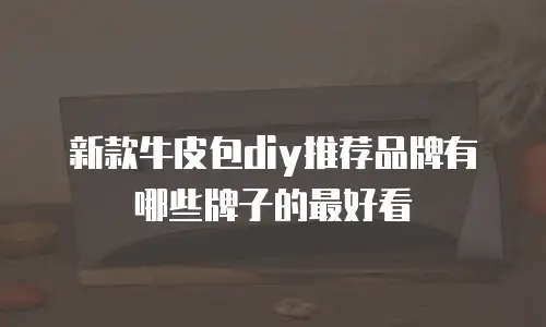新款牛皮包diy推荐品牌有哪些牌子的最好看