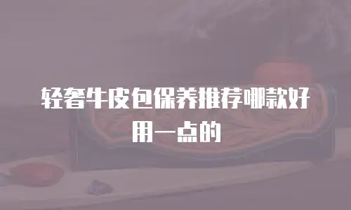 轻奢牛皮包保养推荐哪款好用一点的