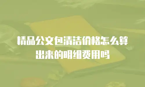 精品公文包清洁价格怎么算出来的明细费用吗
