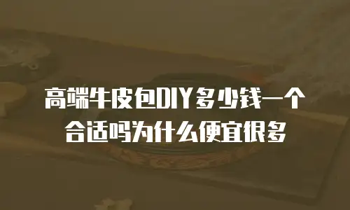 高端牛皮包DIY多少钱一个合适吗为什么便宜很多