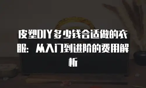 皮塑DIY多少钱合适做的衣服：从入门到进阶的费用解析