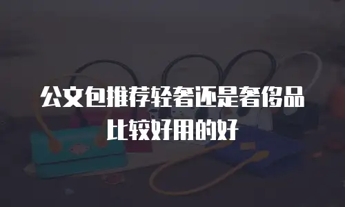 公文包推荐轻奢还是奢侈品比较好用的好