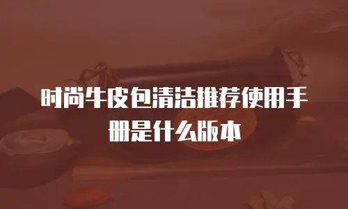 时尚牛皮包清洁推荐使用手册是什么版本
