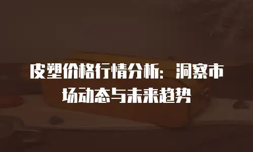 皮塑价格行情分析：洞察市场动态与未来趋势