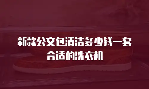 新款公文包清洁多少钱一套合适的洗衣机