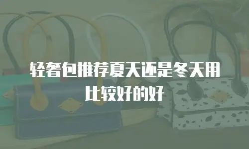 轻奢包推荐夏天还是冬天用比较好的好