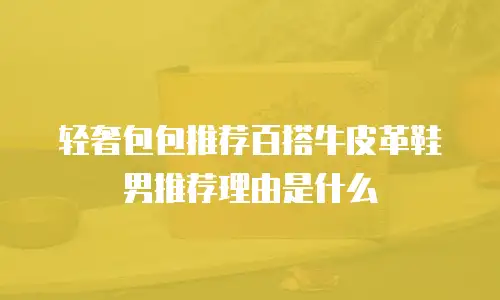 轻奢包包推荐百搭牛皮革鞋男推荐理由是什么
