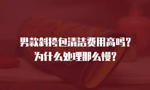 男款斜挎包清洁费用高吗？为什么处理那么慢？