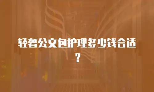 轻奢公文包护理多少钱合适？