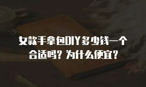 女款手拿包DIY多少钱一个合适吗？为什么便宜？