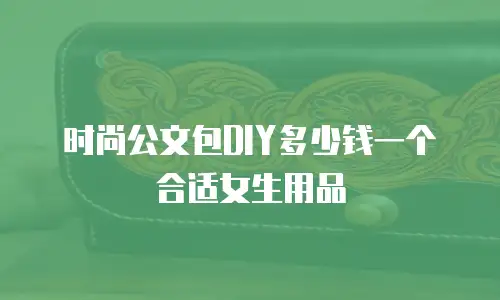 时尚公文包DIY多少钱一个合适女生用品