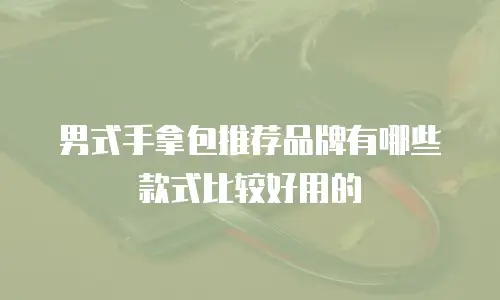 男式手拿包推荐品牌有哪些款式比较好用的