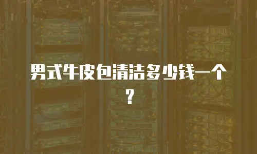 男式牛皮包清洁多少钱一个？