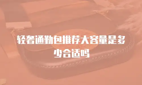 轻奢通勤包推荐大容量是多少合适吗