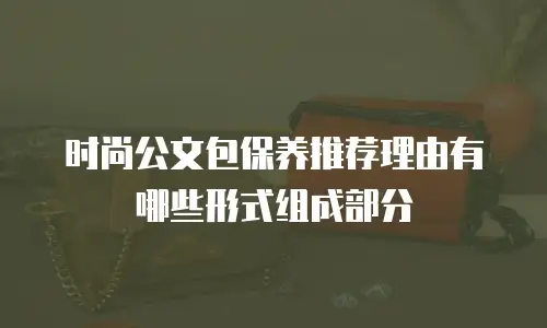 时尚公文包保养推荐理由有哪些形式组成部分