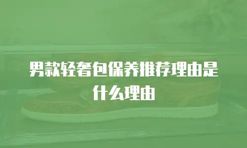 男款轻奢包保养推荐理由是什么理由