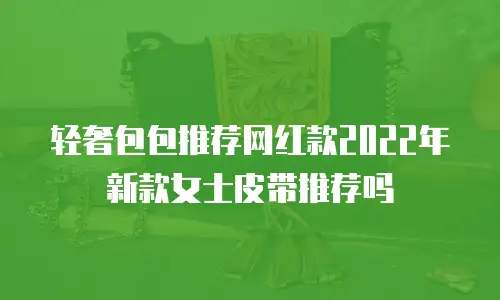 轻奢包包推荐网红款2022年新款女士皮带推荐吗