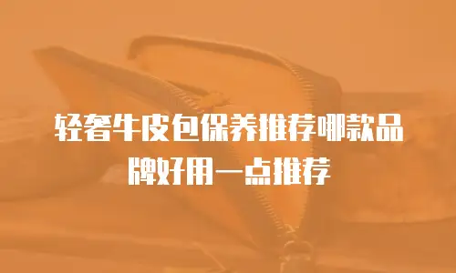 轻奢牛皮包保养推荐哪款品牌好用一点推荐