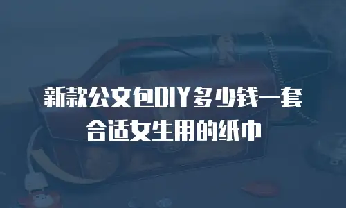 新款公文包DIY多少钱一套合适女生用的纸巾