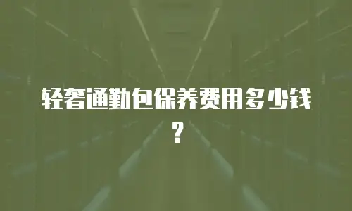 轻奢通勤包保养费用多少钱？