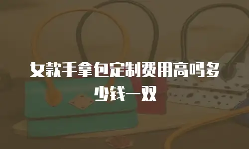 女款手拿包定制费用高吗多少钱一双