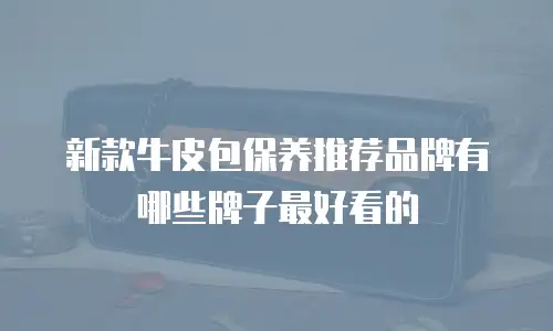 新款牛皮包保养推荐品牌有哪些牌子最好看的
