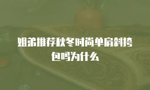 姐弟推荐秋冬时尚单肩斜挎包吗为什么