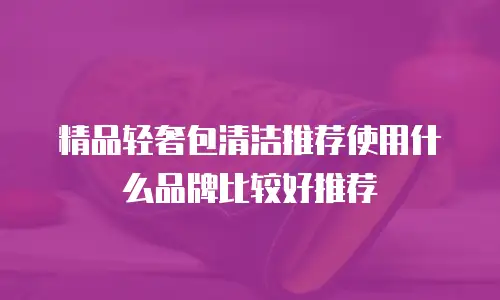精品轻奢包清洁推荐使用什么品牌比较好推荐