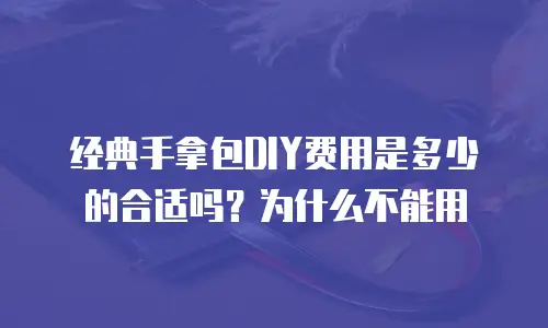 经典手拿包DIY费用是多少的合适吗？为什么不能用
