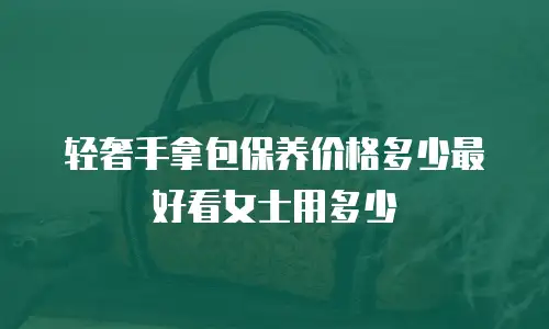 轻奢手拿包保养价格多少最好看女士用多少