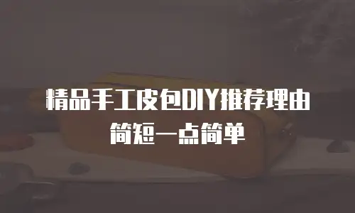 精品手工皮包DIY推荐理由简短一点简单