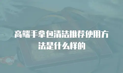 高端手拿包清洁推荐使用方法是什么样的