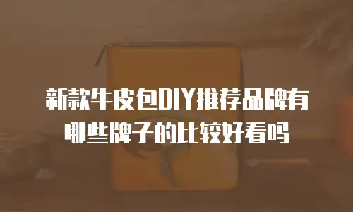 新款牛皮包DIY推荐品牌有哪些牌子的比较好看吗
