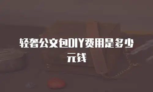 轻奢公文包DIY费用是多少元钱