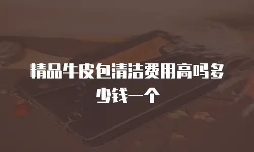 精品牛皮包清洁费用高吗多少钱一个