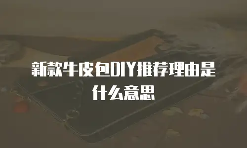 新款牛皮包DIY推荐理由是什么意思