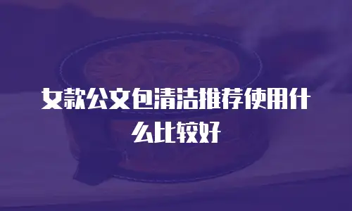女款公文包清洁推荐使用什么比较好