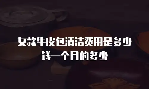 女款牛皮包清洁费用是多少钱一个月的多少