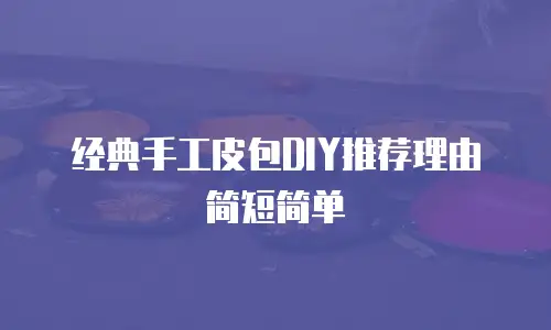 经典手工皮包DIY推荐理由简短简单