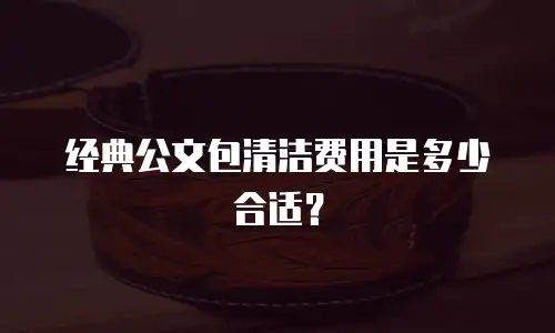 经典公文包清洁费用是多少合适？