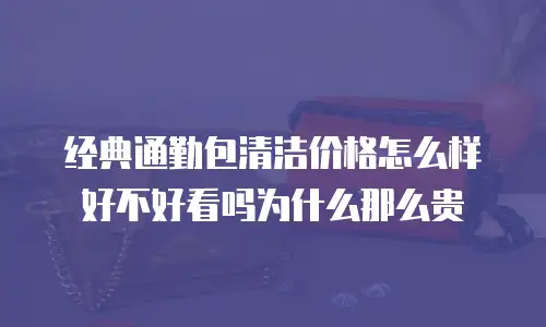 经典通勤包清洁价格怎么样好不好看吗为什么那么贵